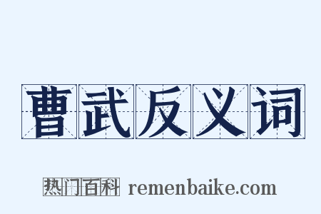 曹武反义词是什么意思的图片